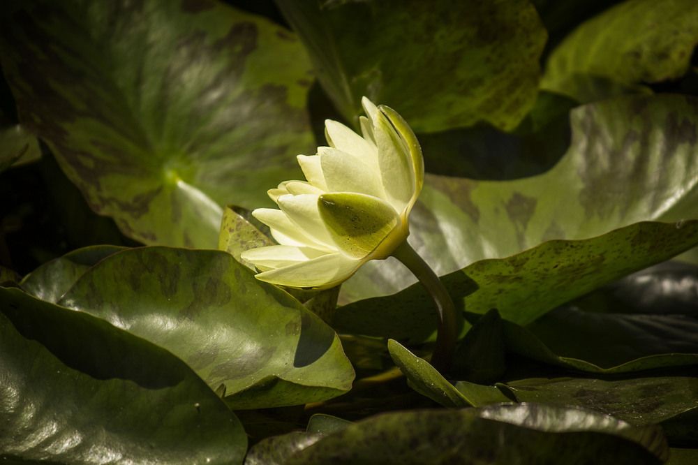 Фотография автора Марина Иванова