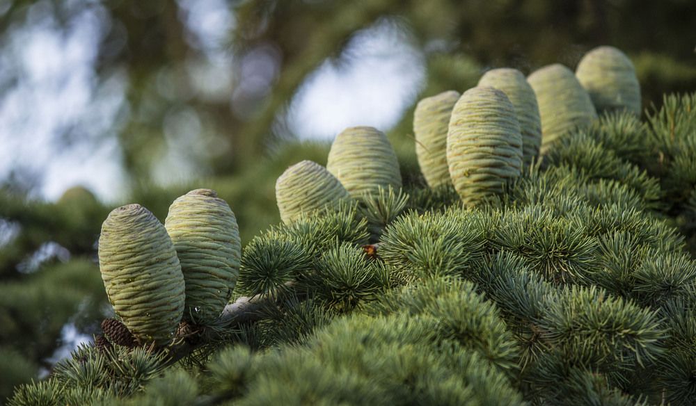 Фотография автора Марина Иванова