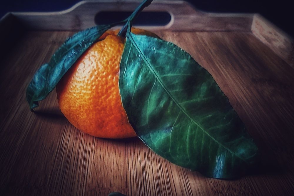 Фотография автора Алёна Михайлова