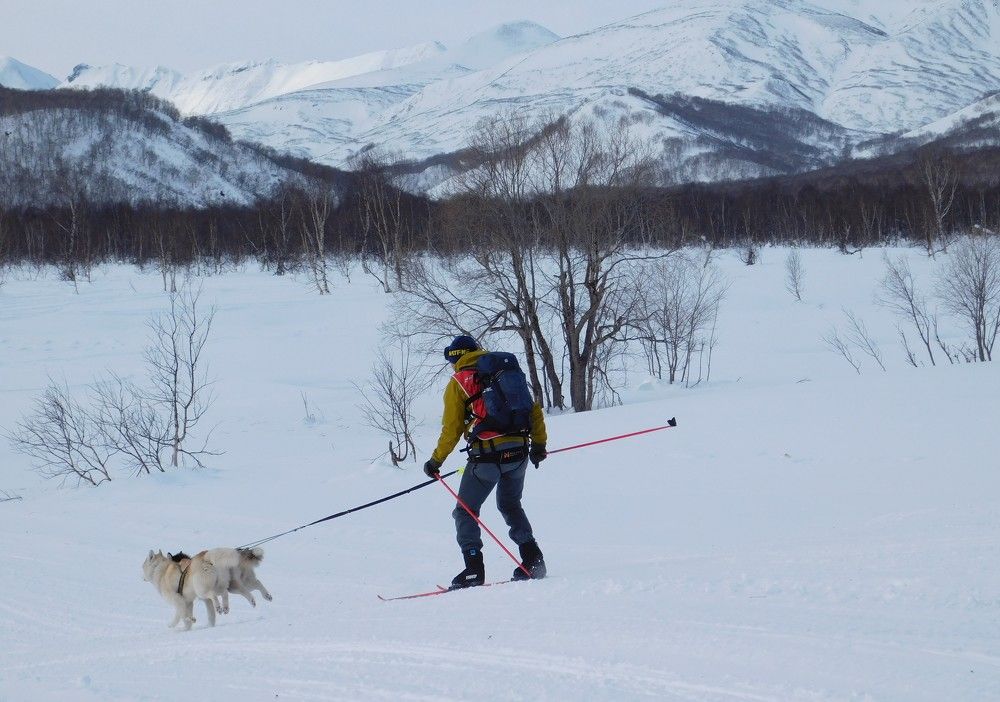 Берингия. Авача