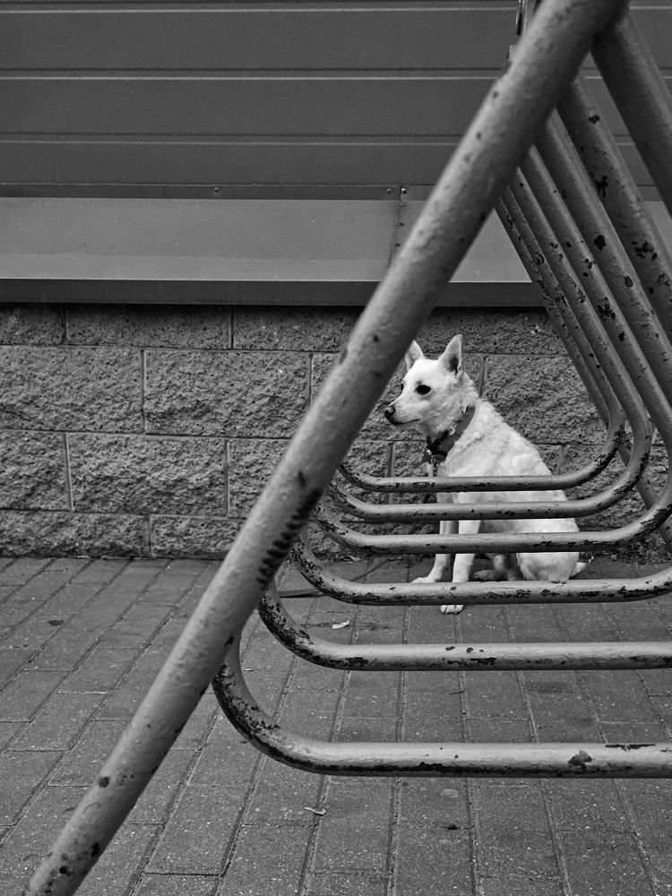 Фотография автора Ольга Шишук