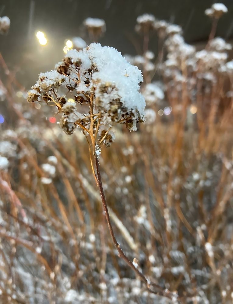 Фотография автора Татьяна Савранчук