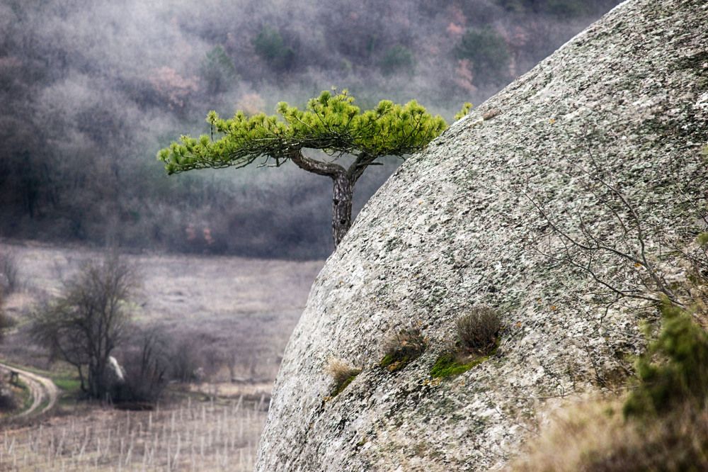 Фотография автора Марина Иванова
