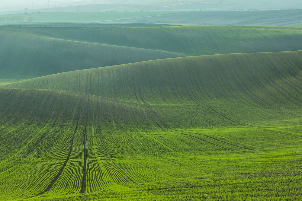 Photograph by Марина Маликова