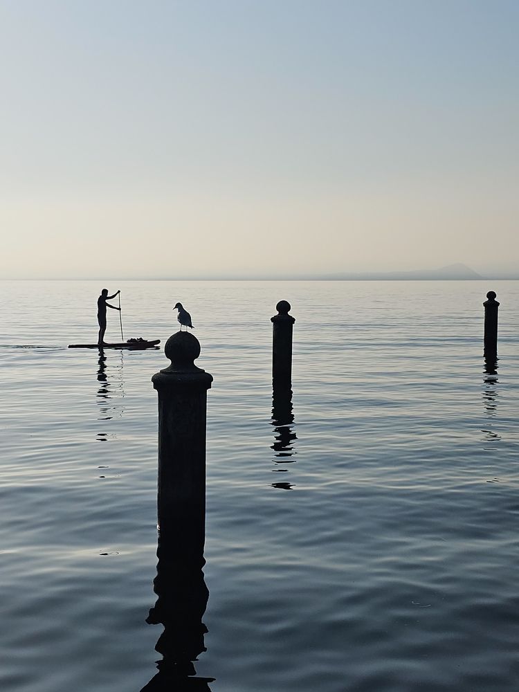 Фотография автора Ольга Шишук