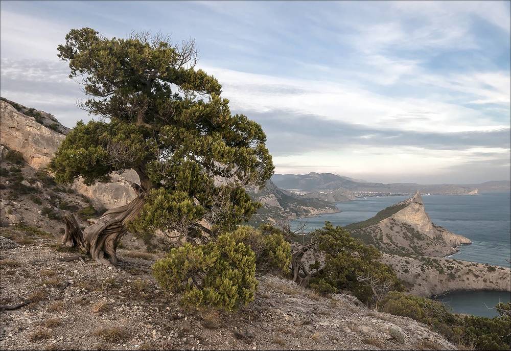 Фотография автора Сергей Сынтин
