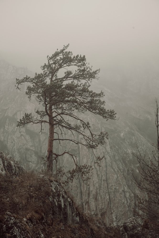 Photograph by Сагдиева Эльвира