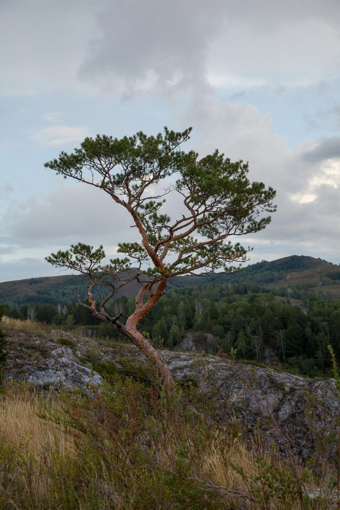 Photograph by Сагдиева Эльвира