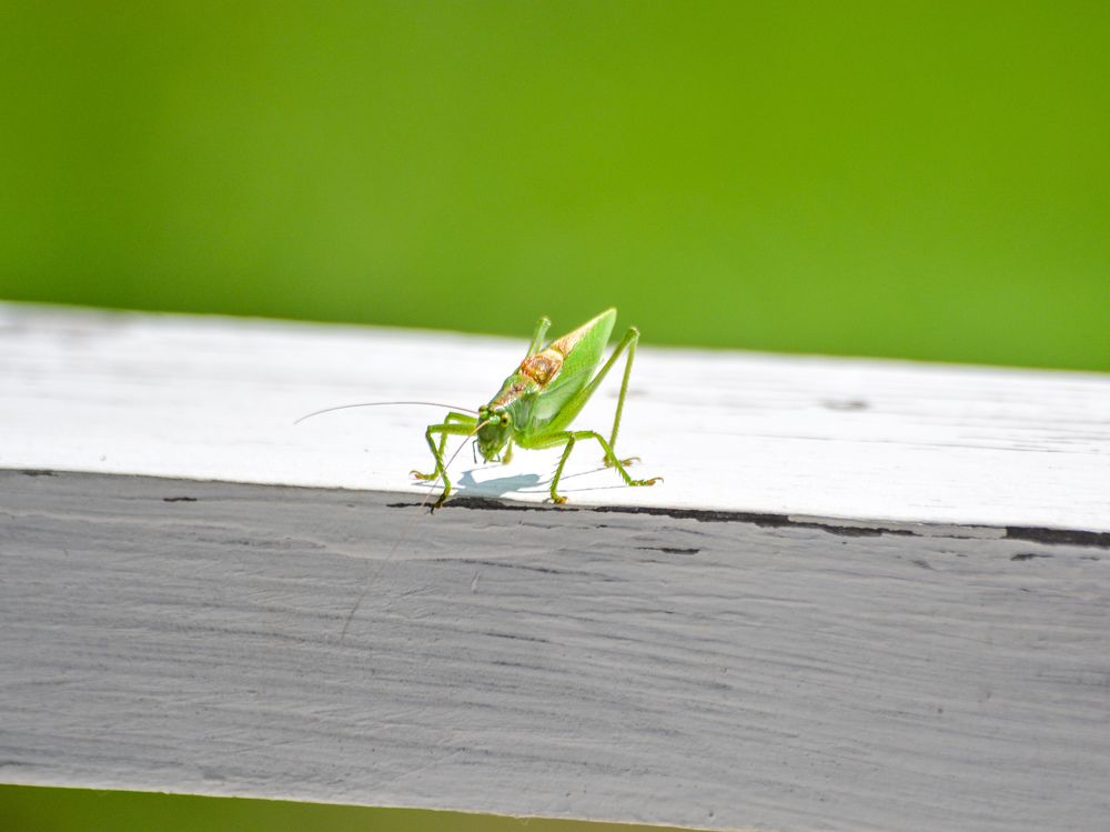 Photograph by Сергей Гуров