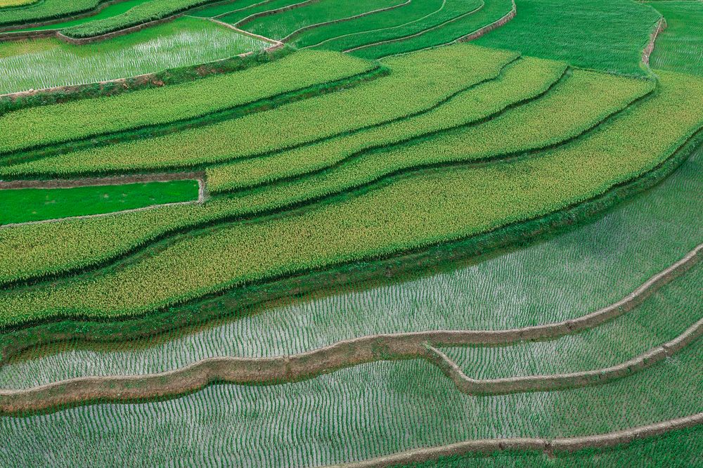 Photograph by Марина Маликова