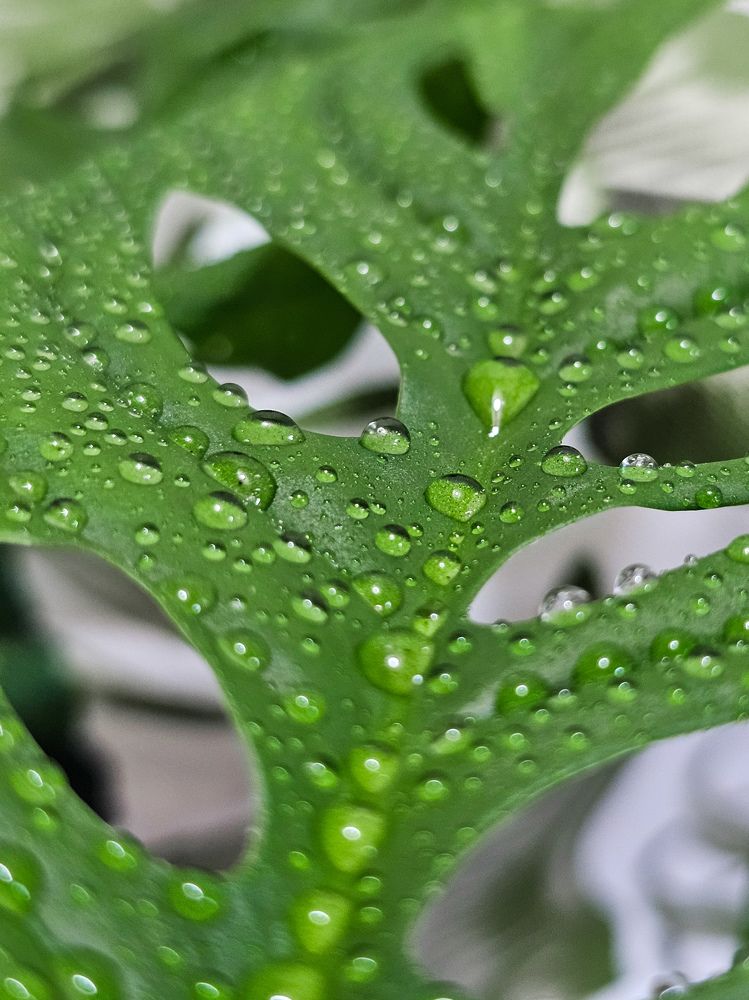 Фотография автора Ольга Шишук