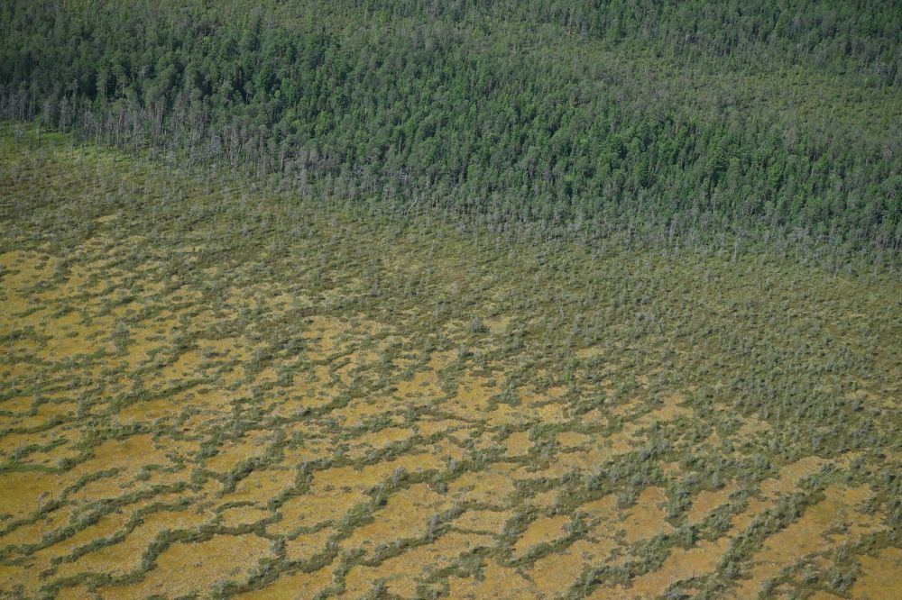 Photograph by Дарья Ростовцева