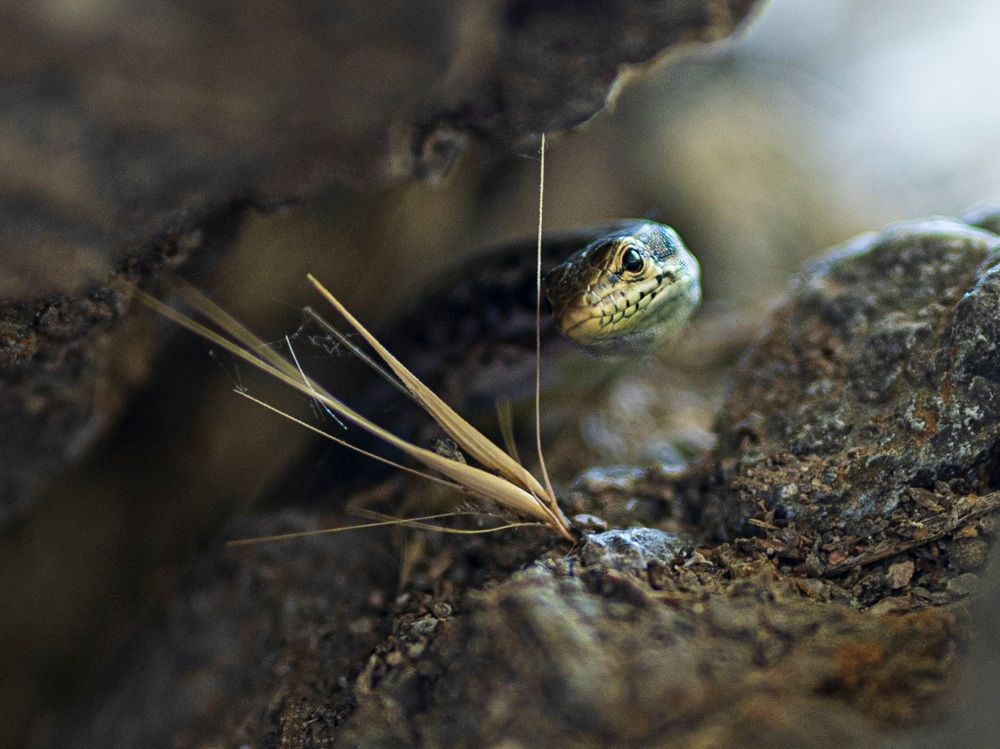 Photograph by Жанна Агафонова