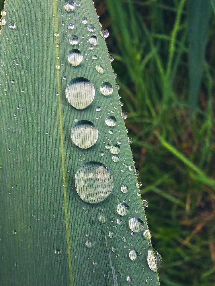 Фотография автора Ольга Шишук