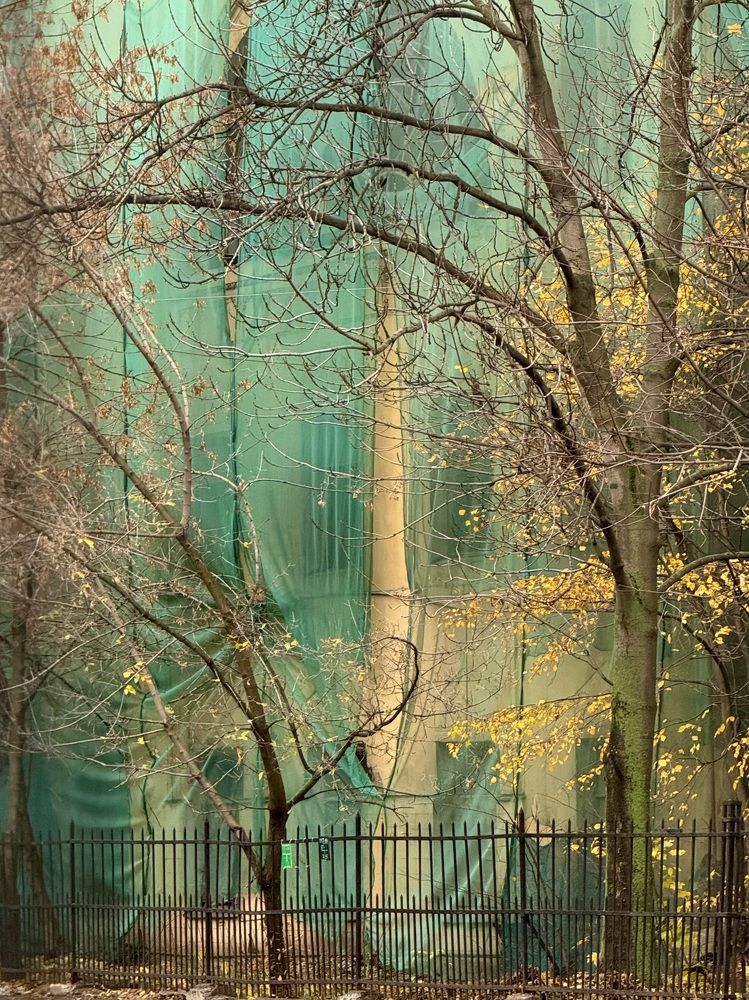 Фотография автора ГУЗАЛИЯ ГАНИЕВА