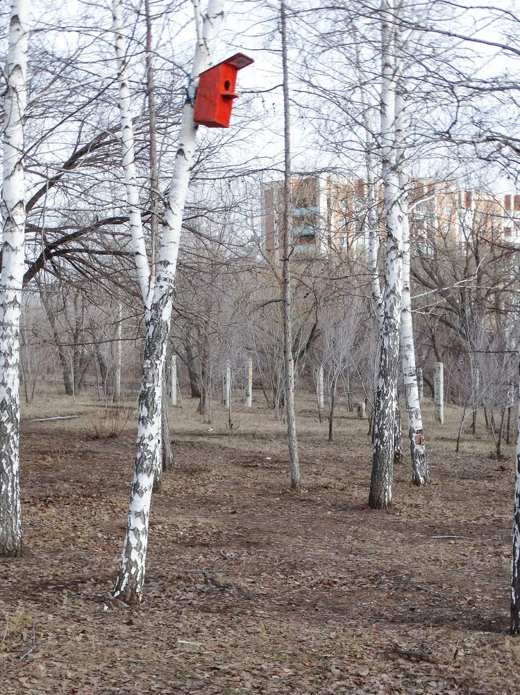 Photograph by Анжелика Трошина