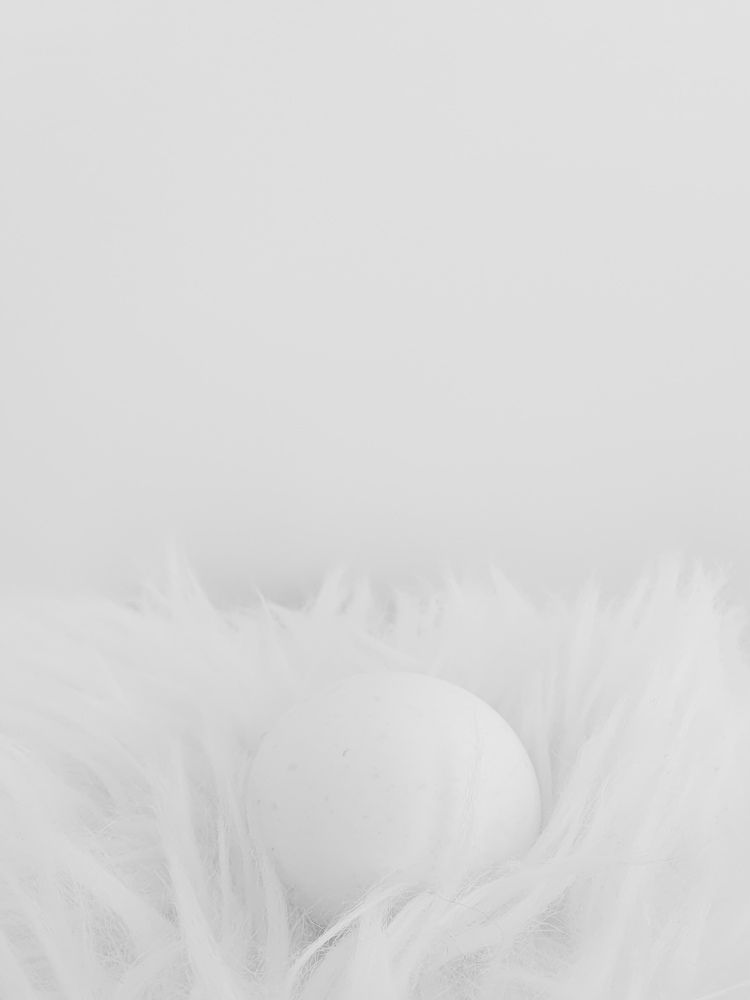 Фотография автора Ольга Шишук