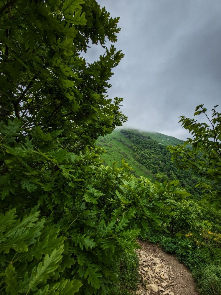 Photograph by Natali AB