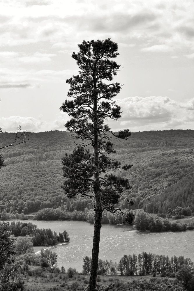 Photograph by Наталья