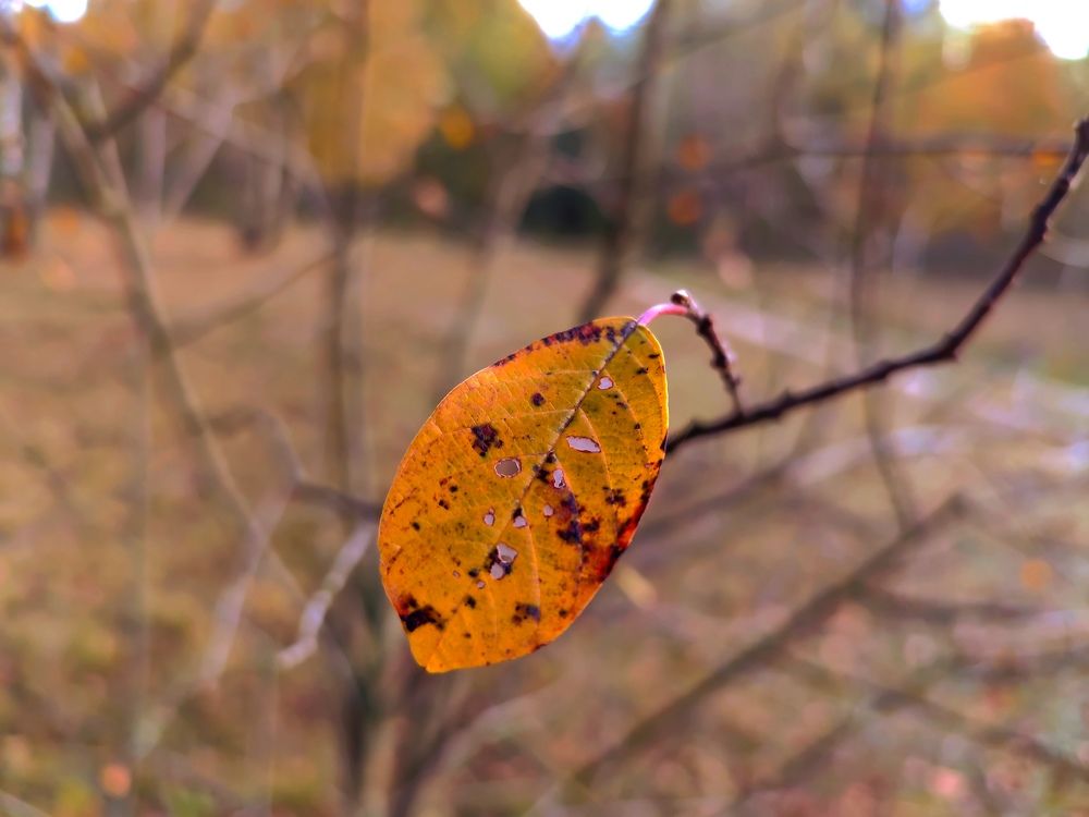 Photograph by Ирина Половцева