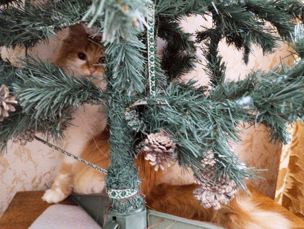 Photograph by Надежда Болтунова