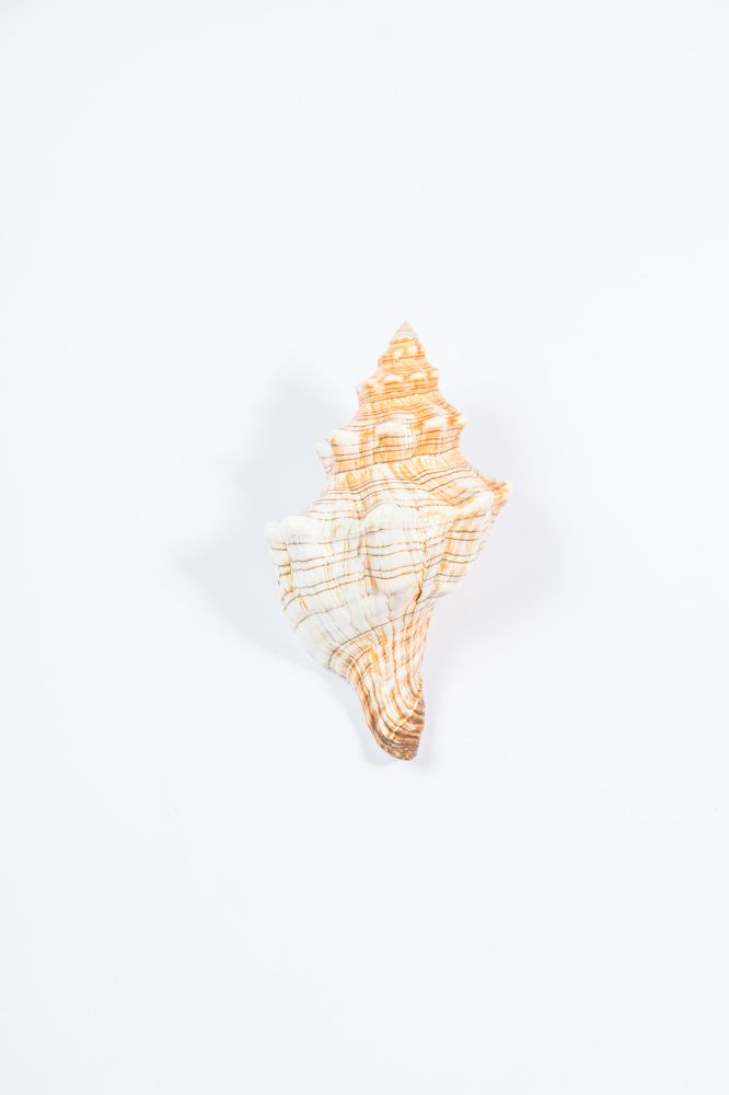 Photograph by Сагдиева Эльвира