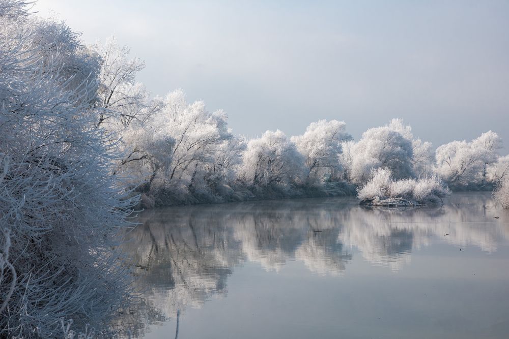 Photograph by levi bagy