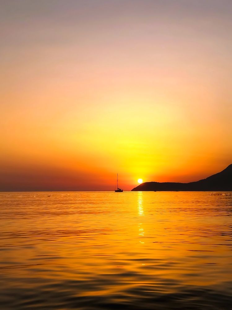 Фотография автора JELENA VASIC