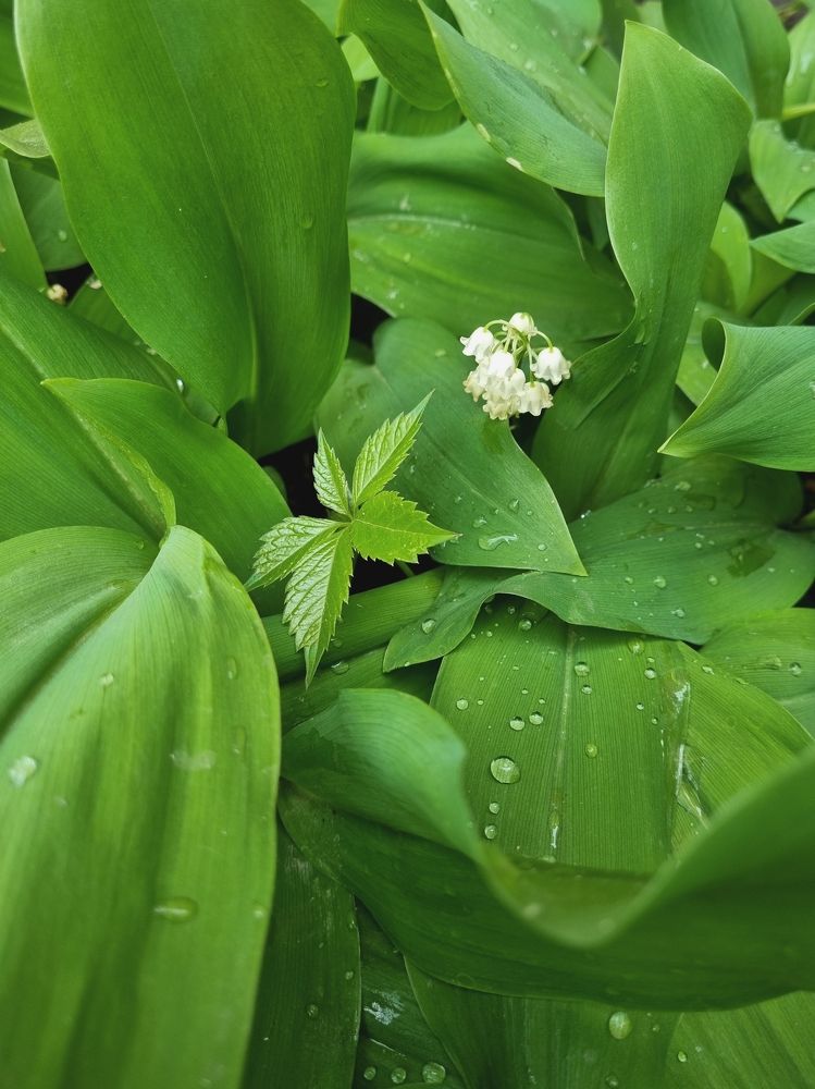 Photograph by Александра