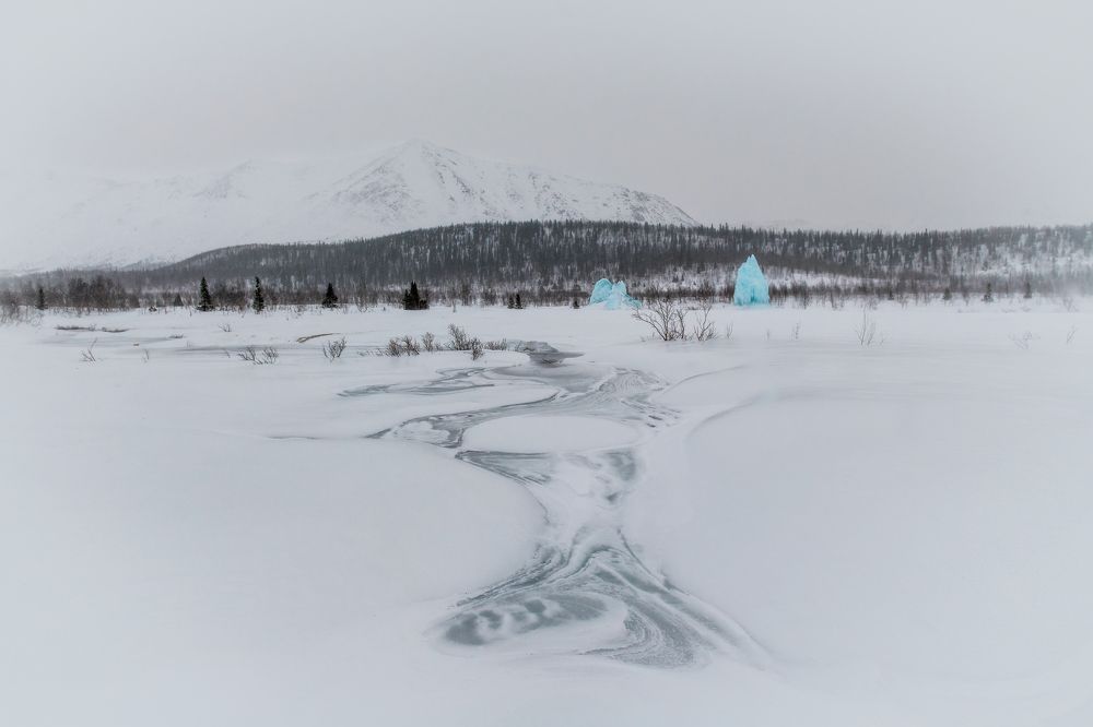 Photograph by Михаил Карпов