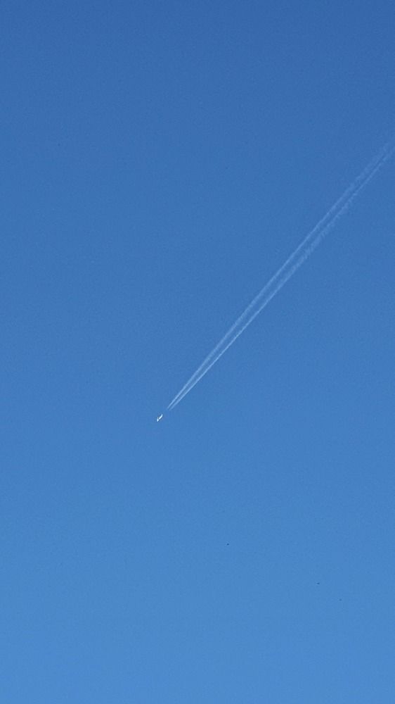 Photograph by Виктория Образцова