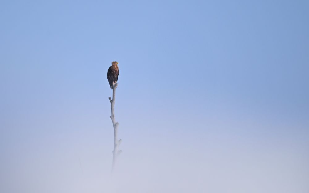 Photograph by Nephotograph