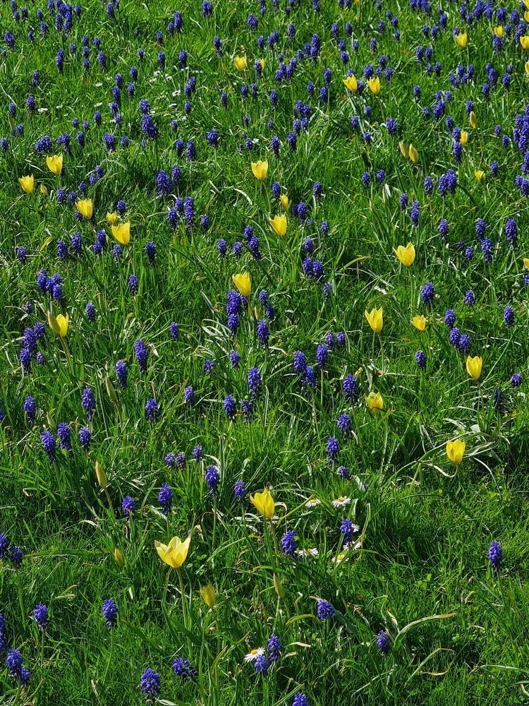 Photograph by Татьяна Соколовская