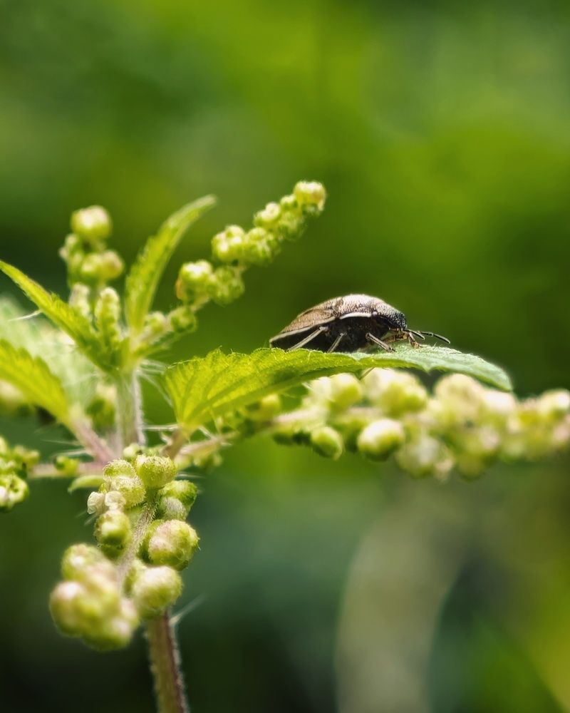 Photograph by Татьяна Соколовская