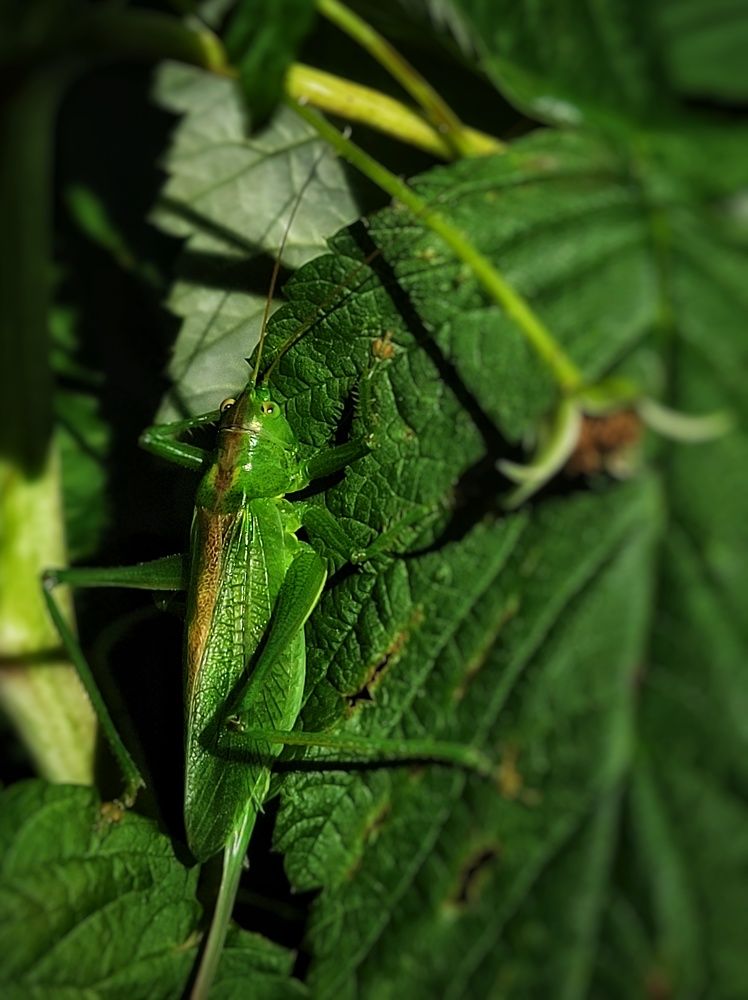 Photograph by Алина