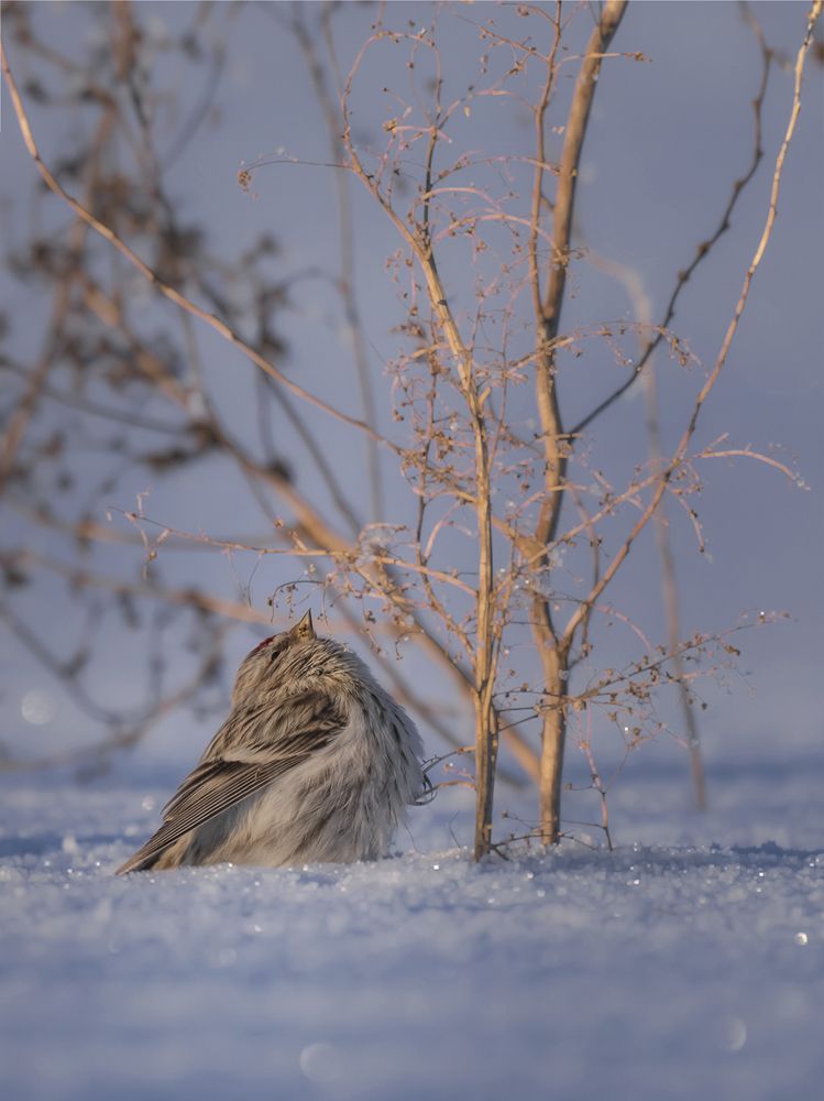 Photograph by Nephotograph