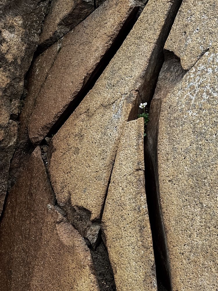 Photograph by Ерышова Анастасия