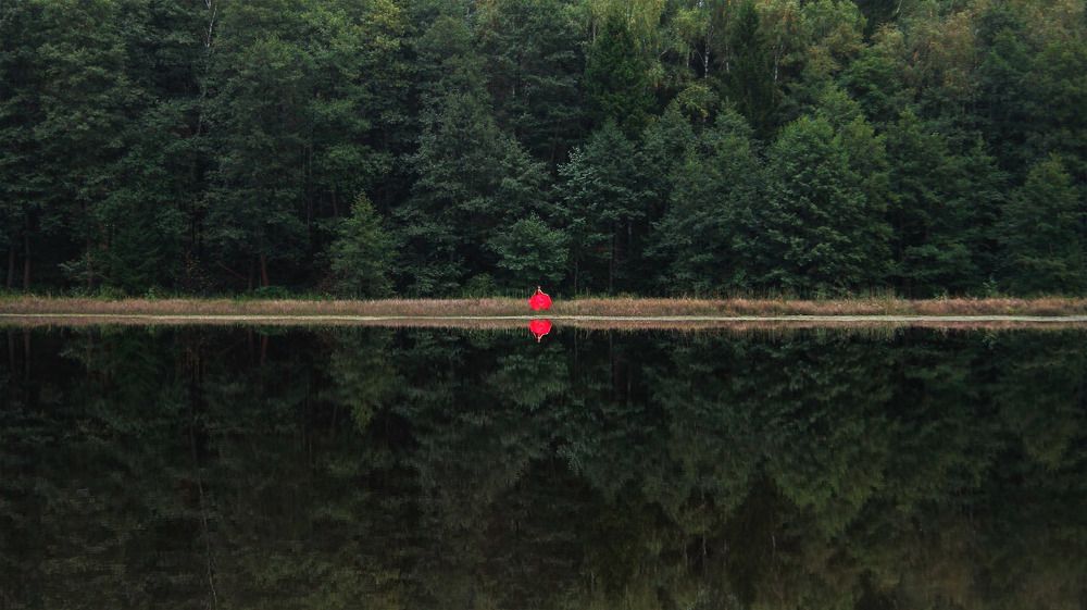 Photograph by Екатерина Родина