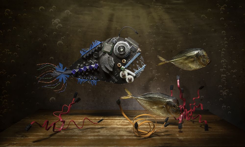 Photograph by Татьяна Феденкова