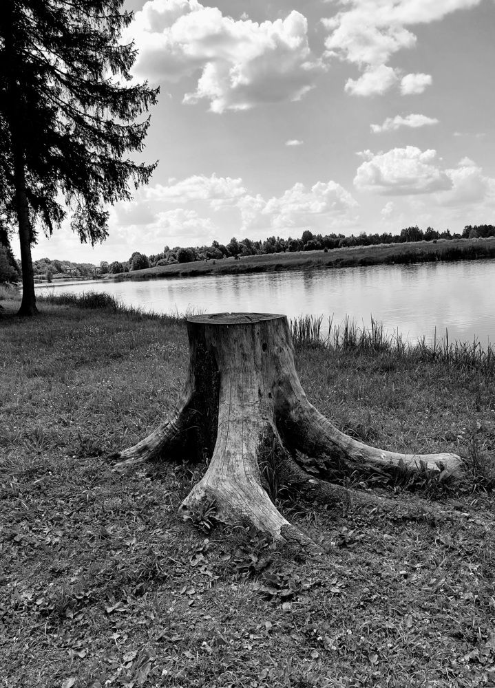 Photograph by Галина Маркова