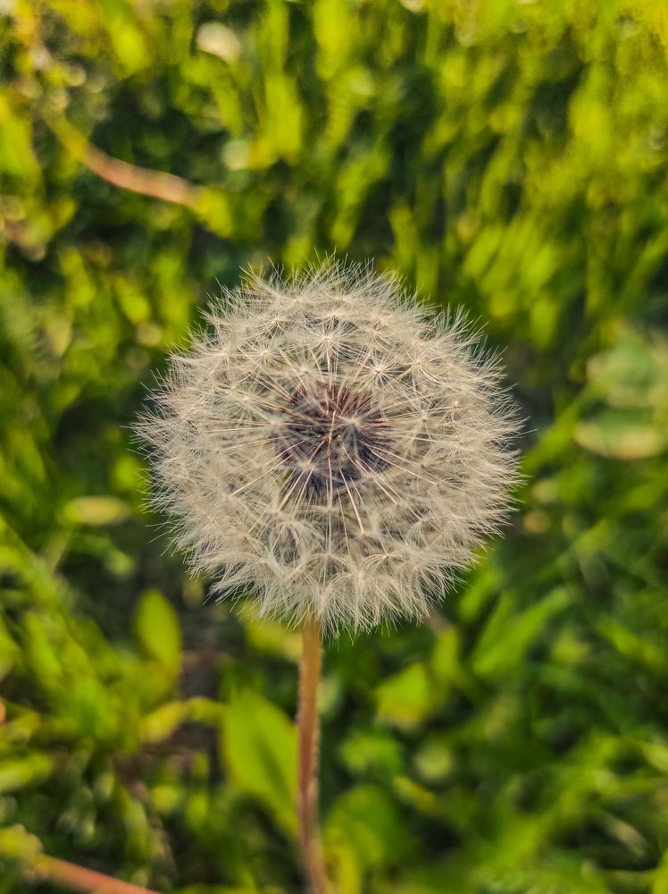 Фотография автора Таисия