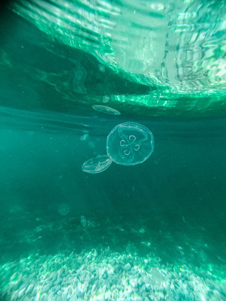 Фотография автора Таисия