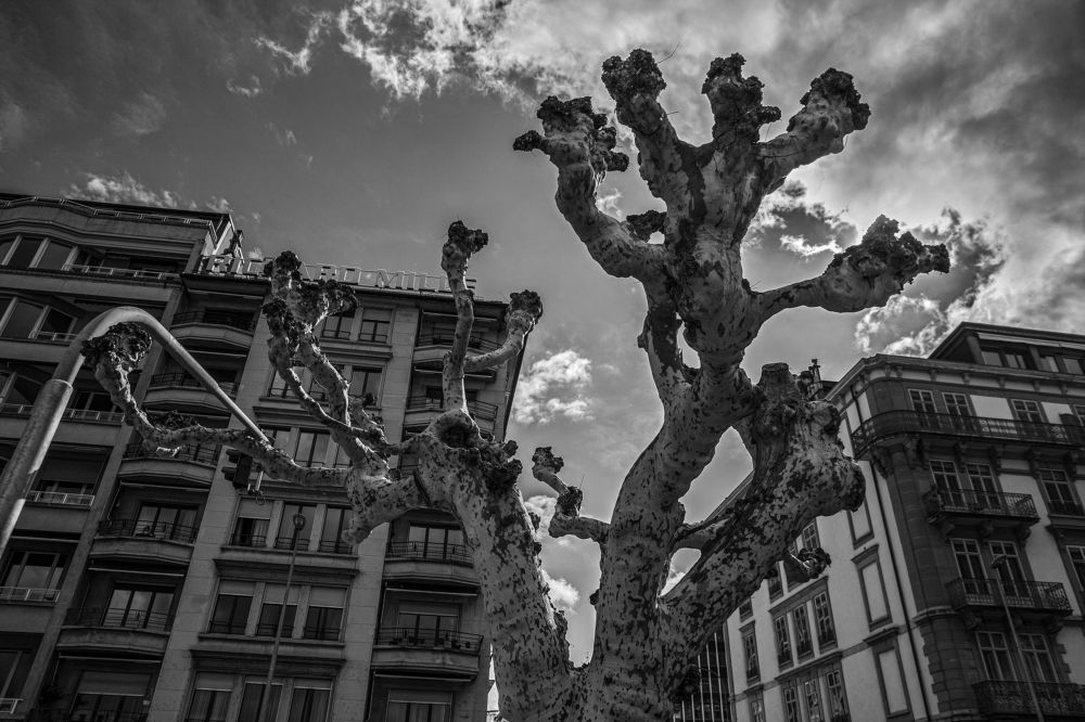 Geneva, Switzerland (2019)