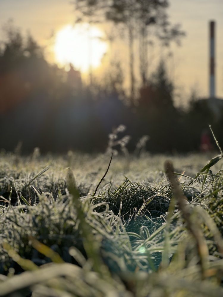Photograph by Nastasya