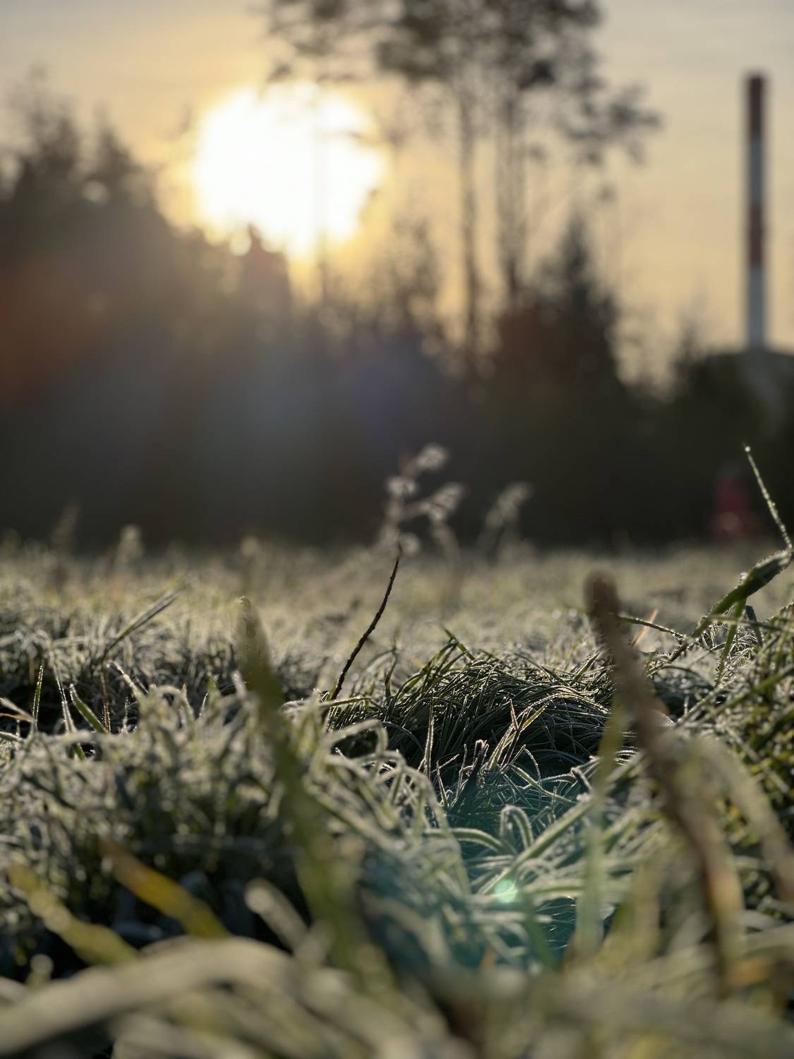Photo #11387958