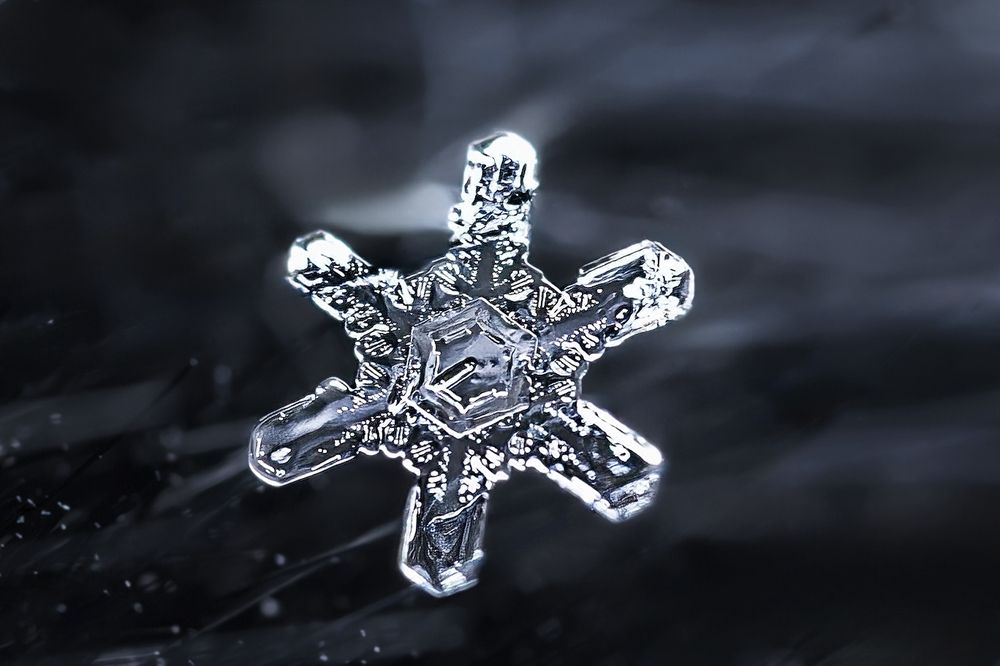 Photograph by Nephotograph