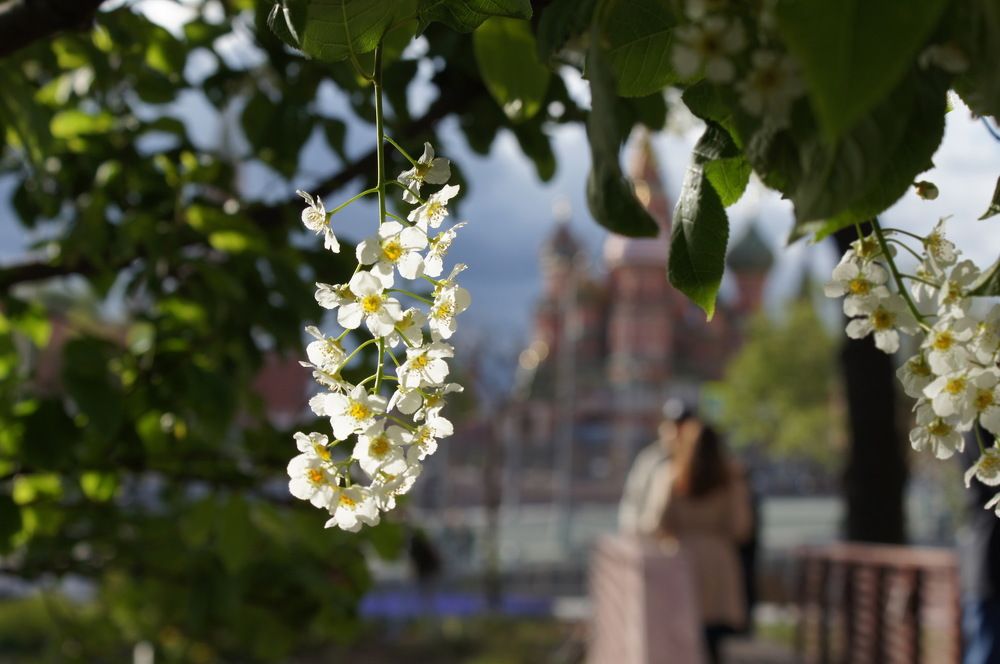 Одиночество