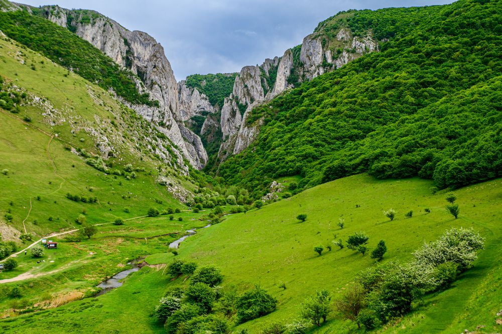 Photograph by levi bagy