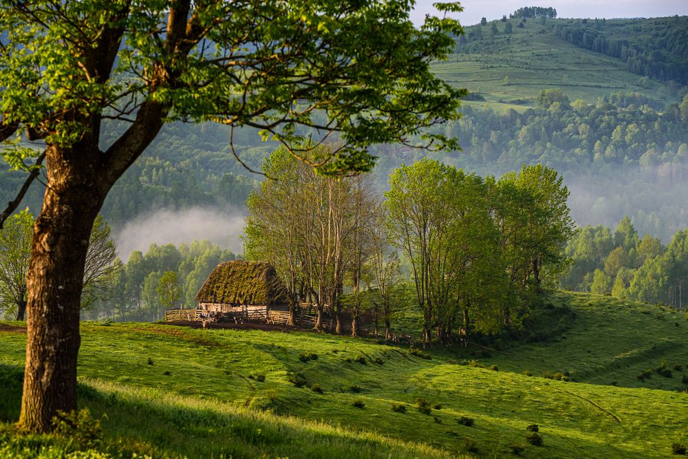 Photograph by levi bagy