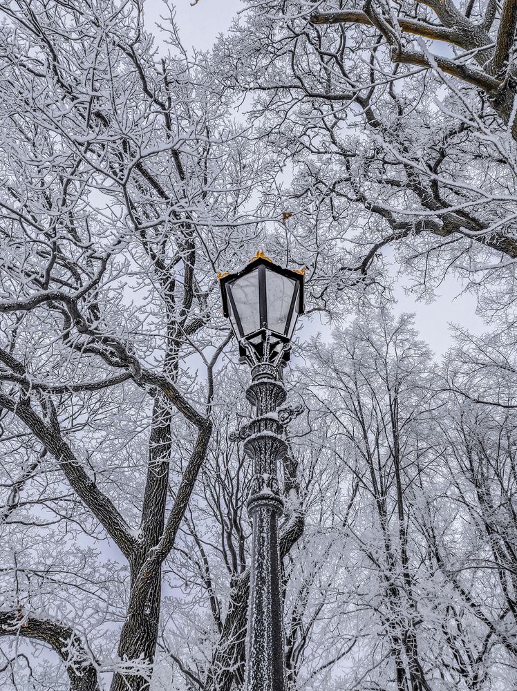 Фотография автора Таисия